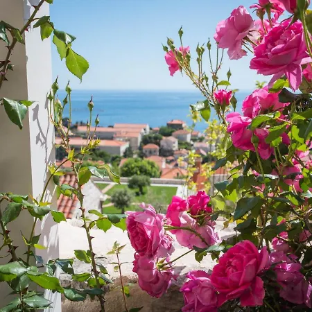 Faros Apartman